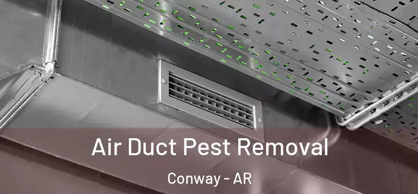  Air Duct Pest Removal Conway - AR