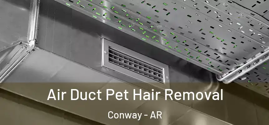  Air Duct Pet Hair Removal Conway - AR