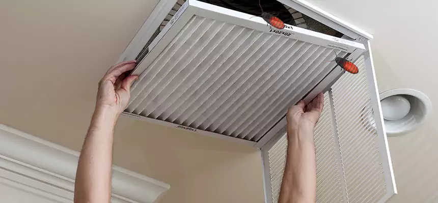 Preventive Cockroach-Proofing for Ducts in Conway