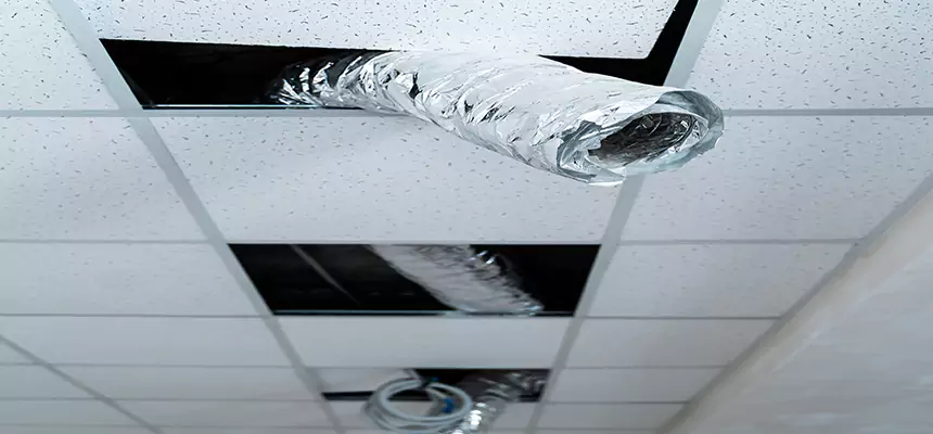 Our Air Duct Pet Hair Removal Services in Conway, AR