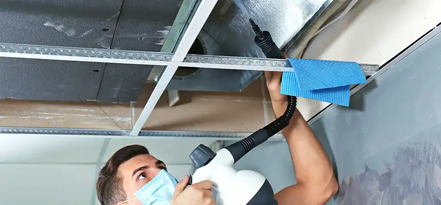 Our Air Duct Rodent Removal Services in Conway, AR