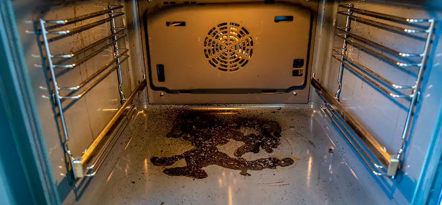 Our Dryer Vent Mold Cleaning Services in Conway, AR