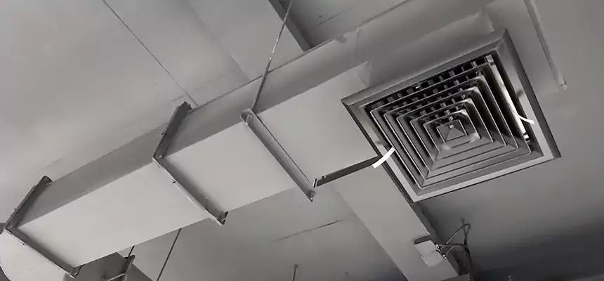 Our Pest Removal From Ducts Services in Conway, AR