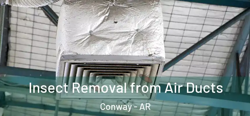  Insect Removal from Air Ducts Conway - AR