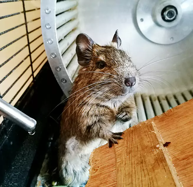 Why Homeowners & Businesses Trust Us Conway, AR